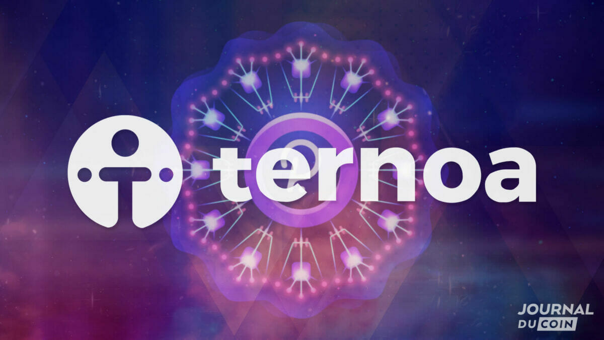 Ternoa : la blockchain des NFT évolutifs